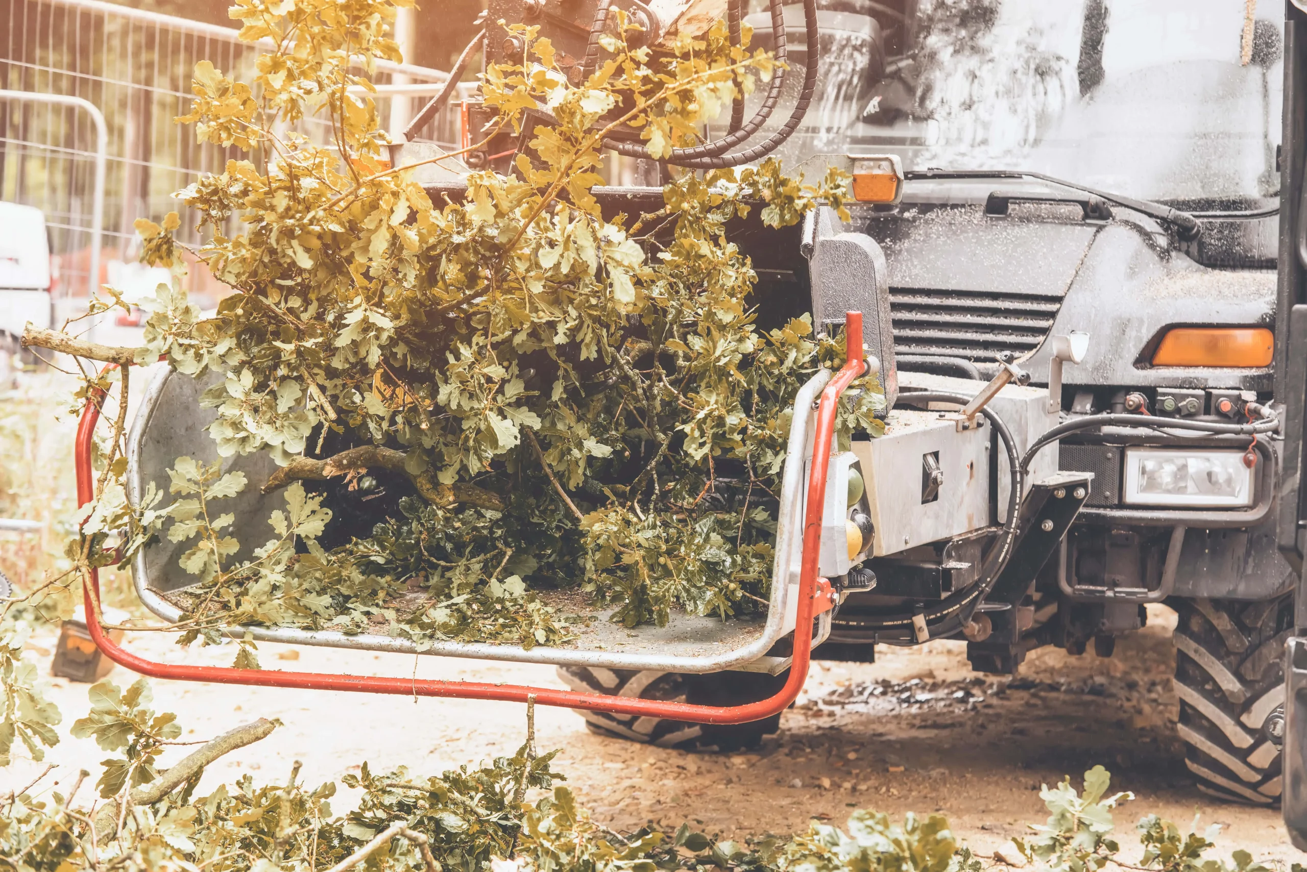 arborist using a wood chipper machine